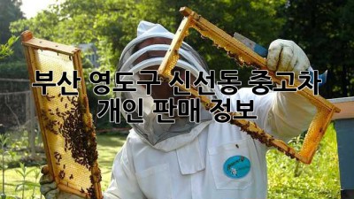 부산 영도구 신선동 중고차 개인 판매 정보