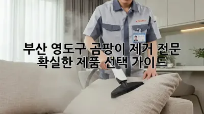 부산 영도구 곰팡이 제거 전문: 확실한 제품 선택 가이드