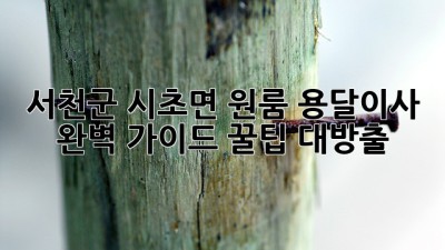 서천군 시초면 원룸 용달이사🚚 완벽 가이드: 꿀팁 대방출🍯